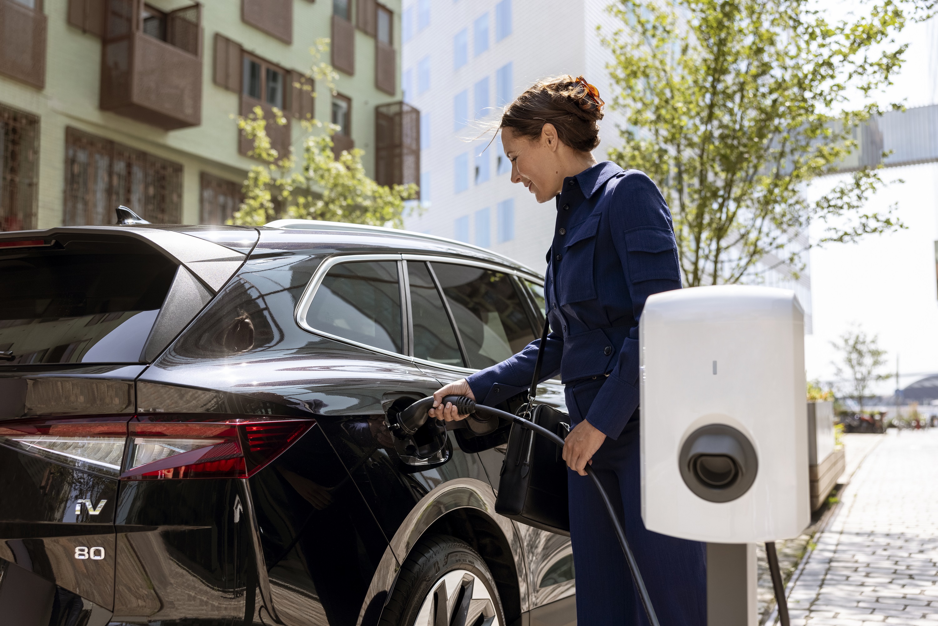 Alfen Eve Single S-Line - Zdjęcie 2